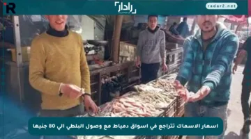 أسعار الأسماك تتراجع في أسواق دمياط مع وصول البلطي إلى 80 جنيها